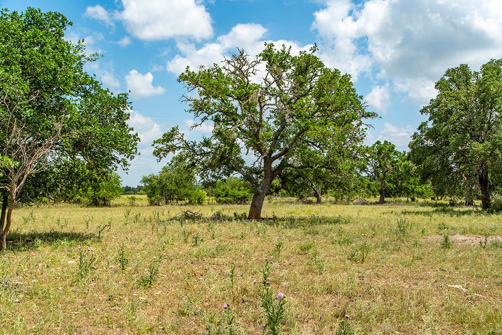 21690 FM 2093 photo 6