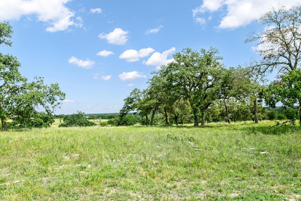 Lot 4 Inspiration Loop photo 1