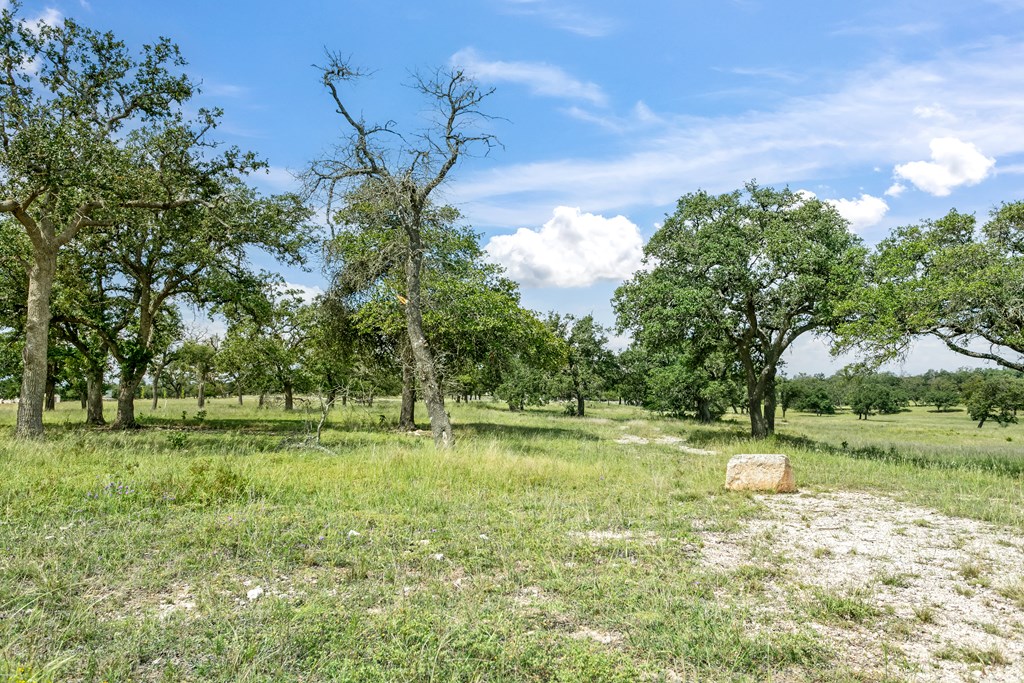 Lot 4 Inspiration Loop photo 7