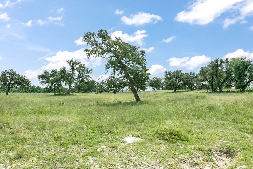 Lot 4 Inspiration Loop photo 9