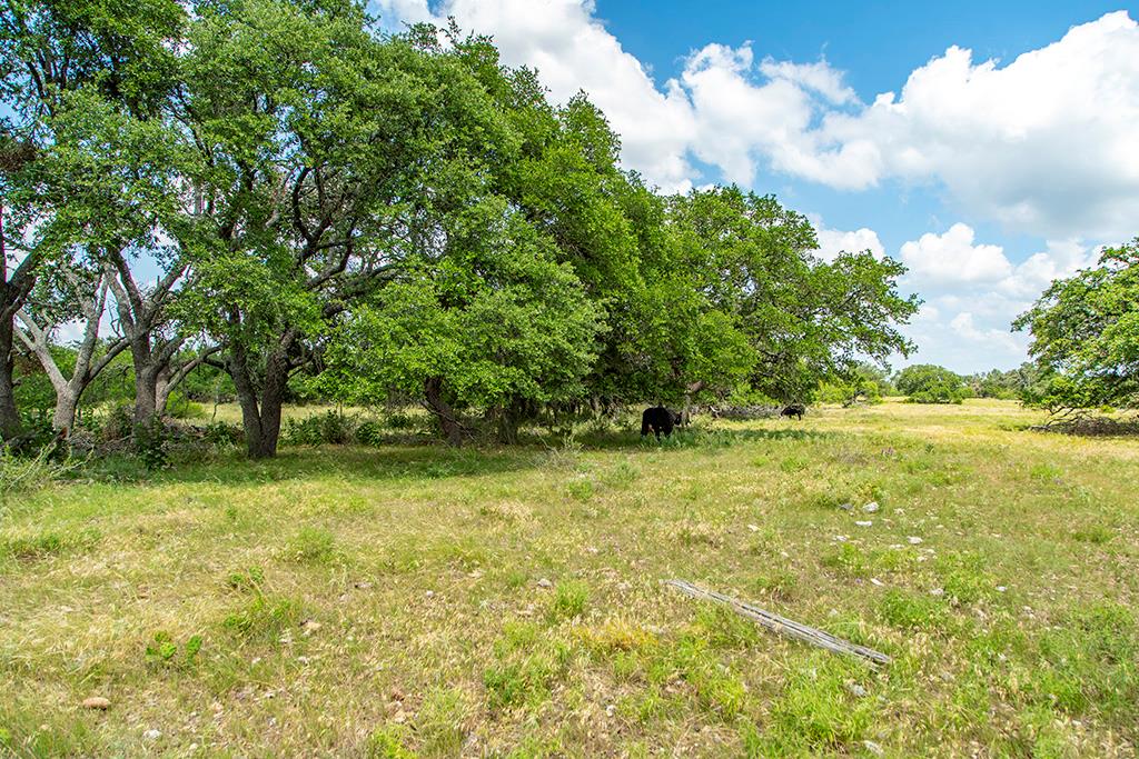 21882 FM 2093 photo 1