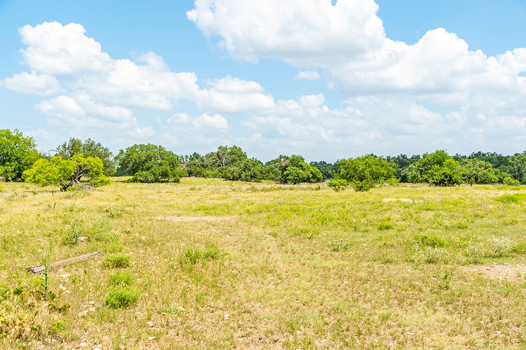21882 FM 2093 photo 4