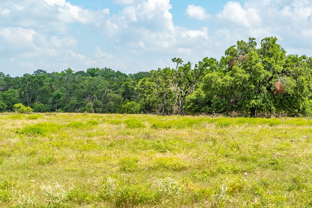 21882 FM 2093 photo 5