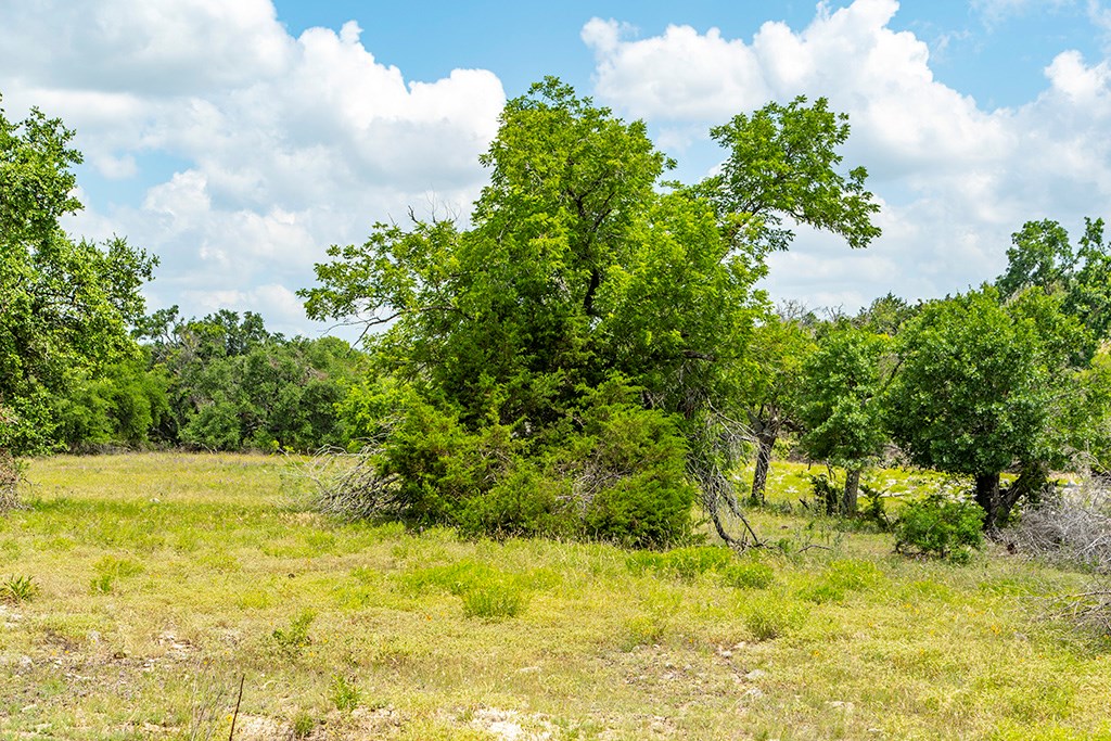 21882 FM 2093 photo 7