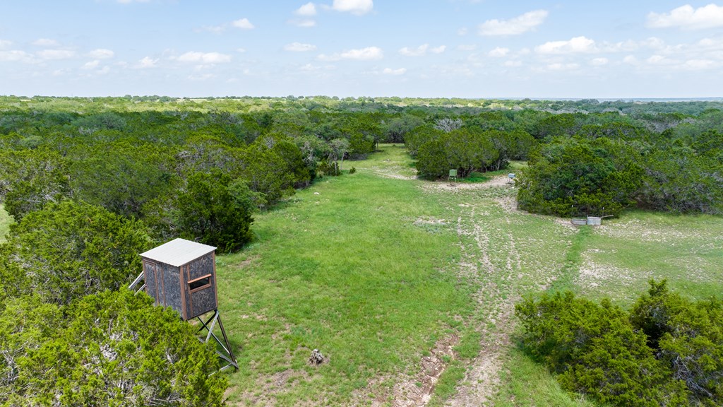 221 Coyote Trail photo 9