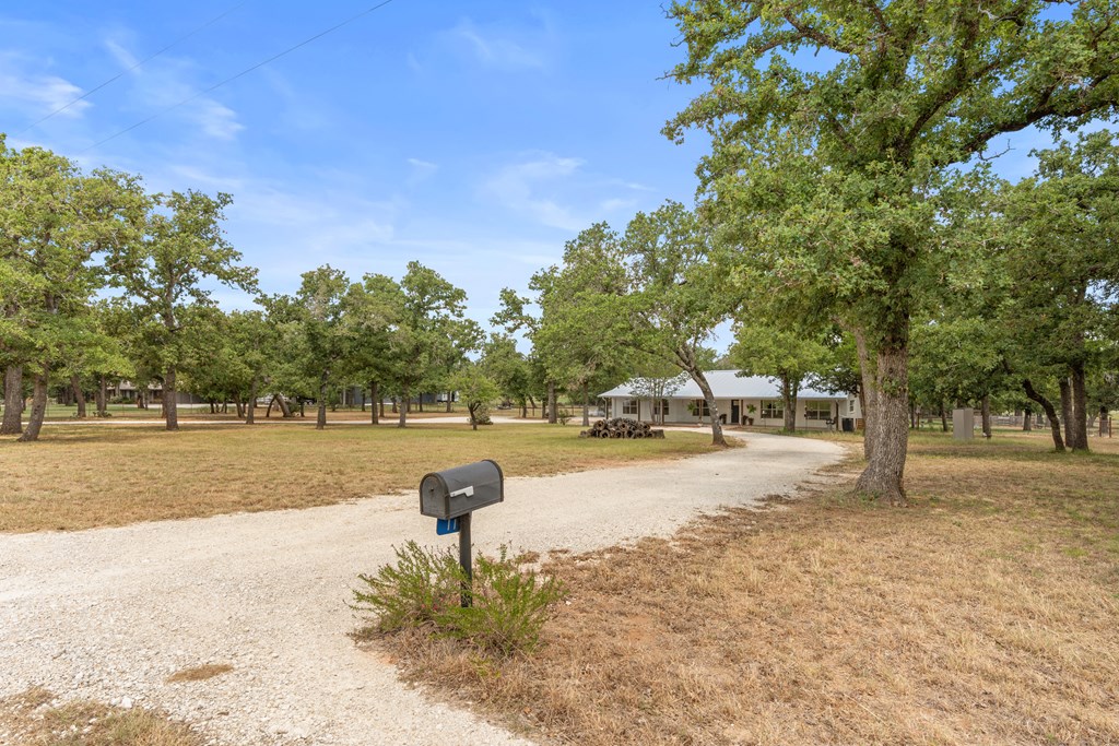 111 Wilderness Dr photo 2