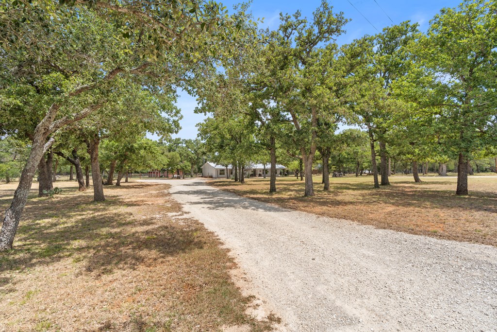 111 Wilderness Dr photo 3