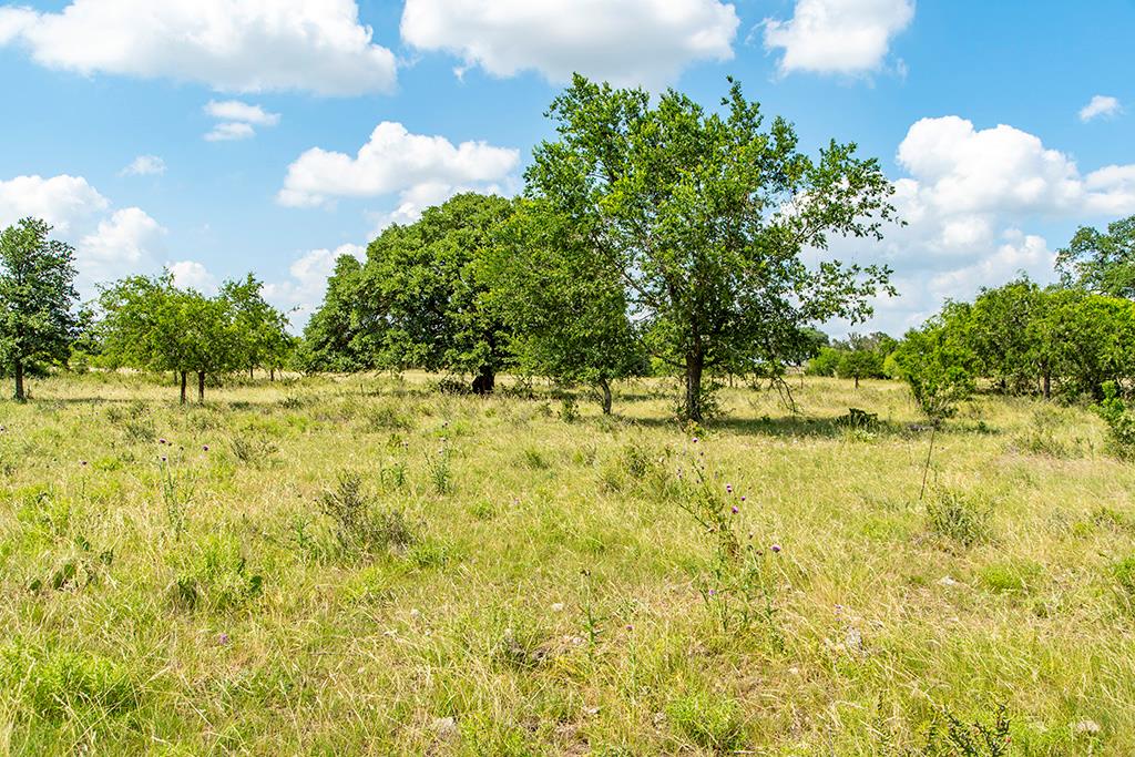 21688 FM 2093 photo 1