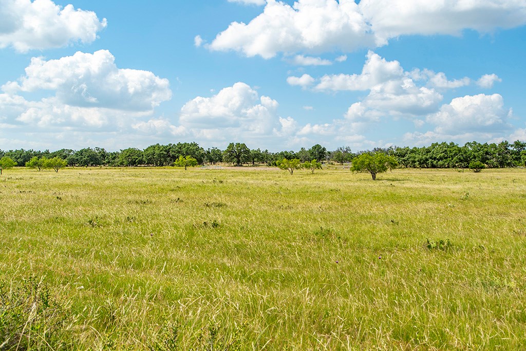 21688 FM 2093 photo 3