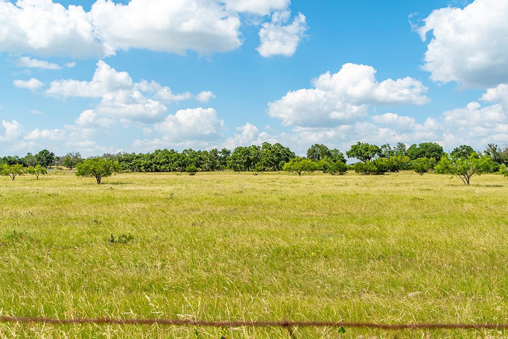 21688 FM 2093 photo 4
