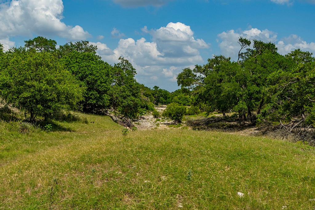 21688 FM 2093 photo 5