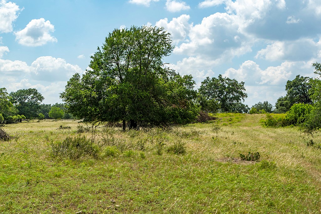 21688 FM 2093 photo 6