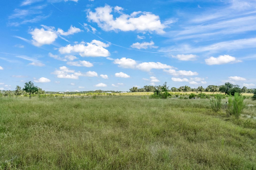 360 Inspiration Loop photo 20