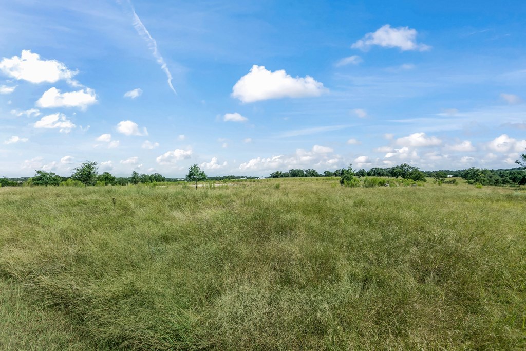 360 Inspiration Loop photo 21
