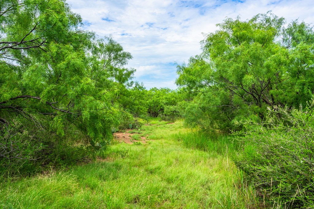 3726 County Rd 340 Brady photo 19