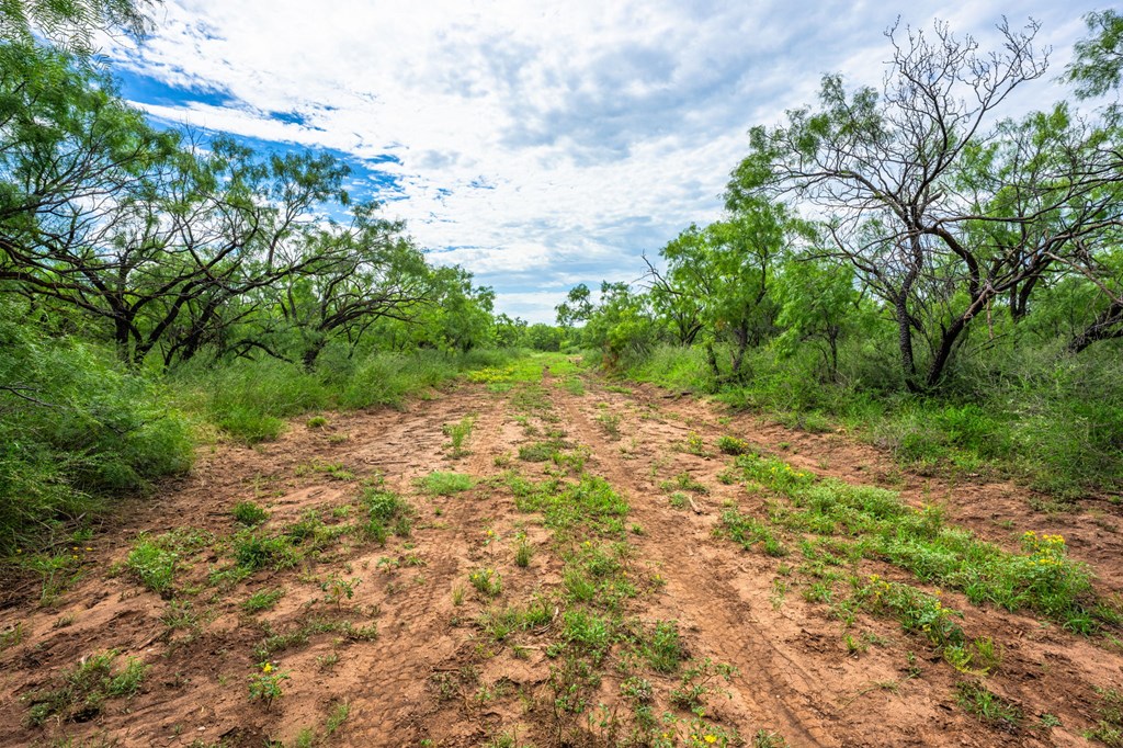 3726 County Rd 340 Brady photo 22