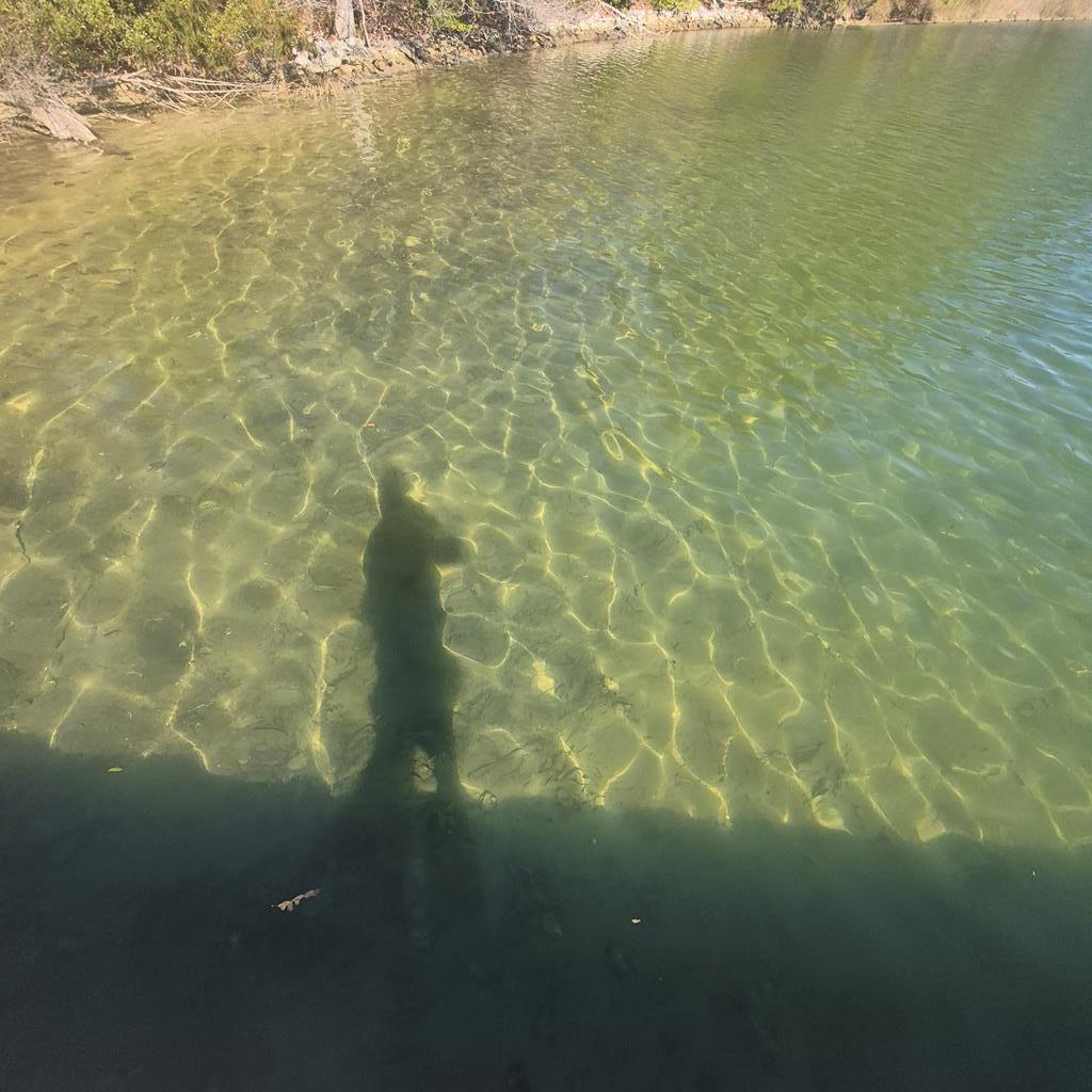 Clear water and a Sand bottom is a bonus for additional photo 14