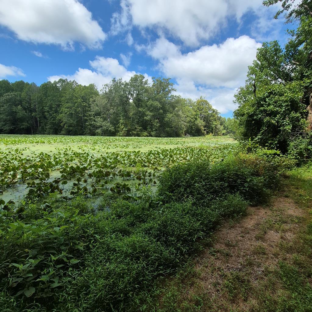  for additional photo 17