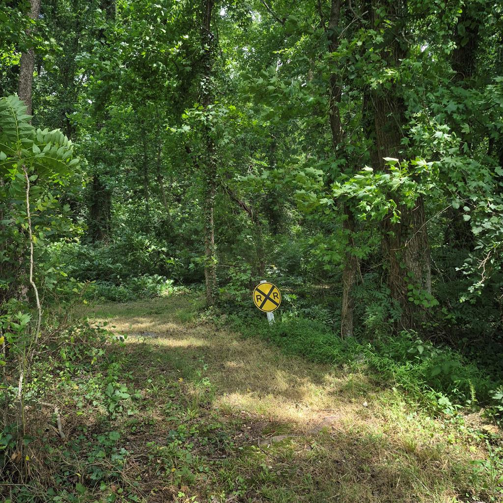 Path in the woods  for additional photo 27