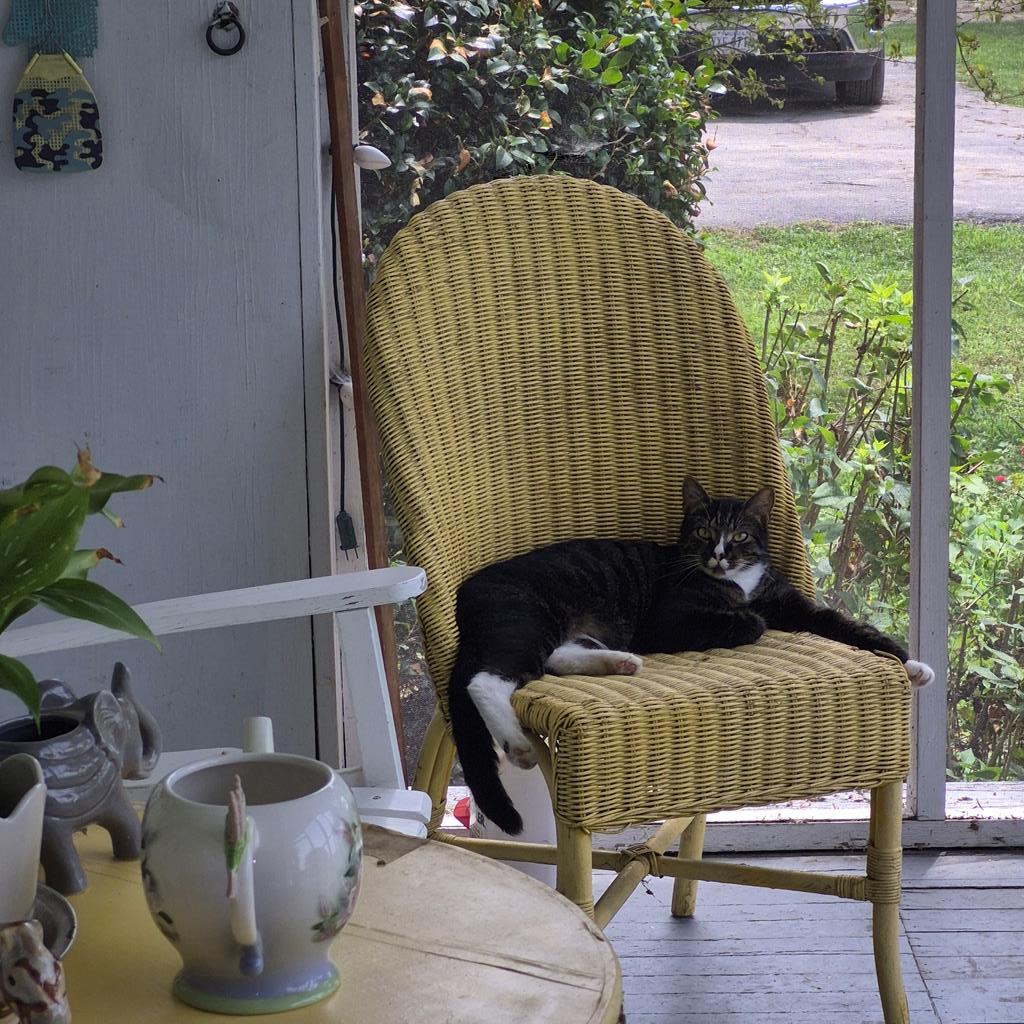 Mouser does not convey for additional photo 4