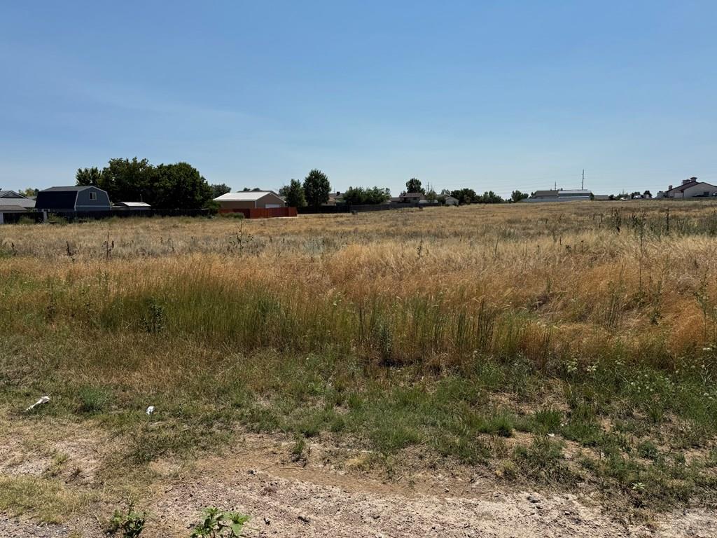 Additional Photos
