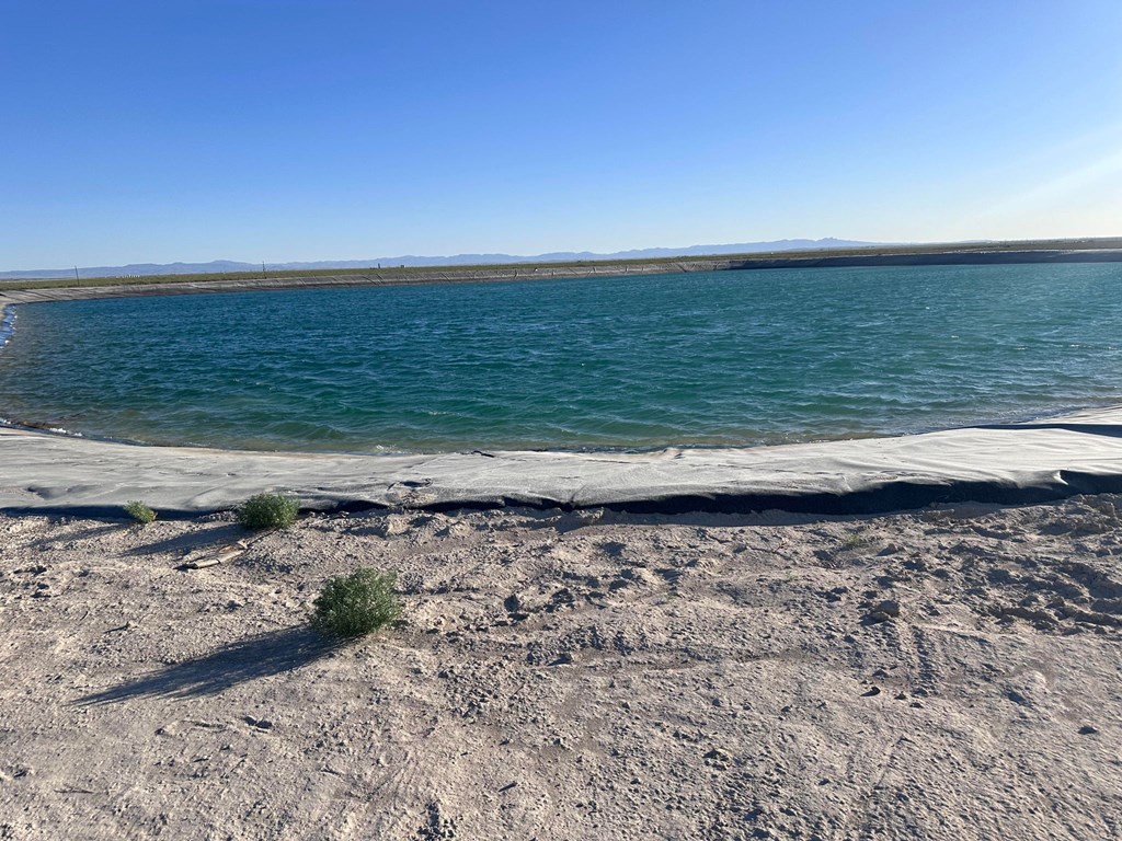Slide for listing number 50079470