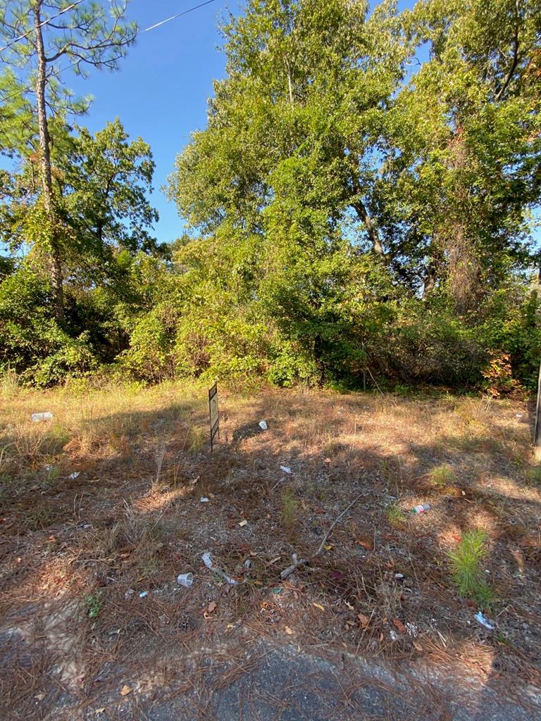 Main listing image for U175381A