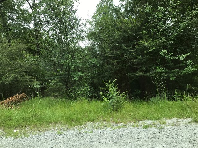 Main listing image for V160063A