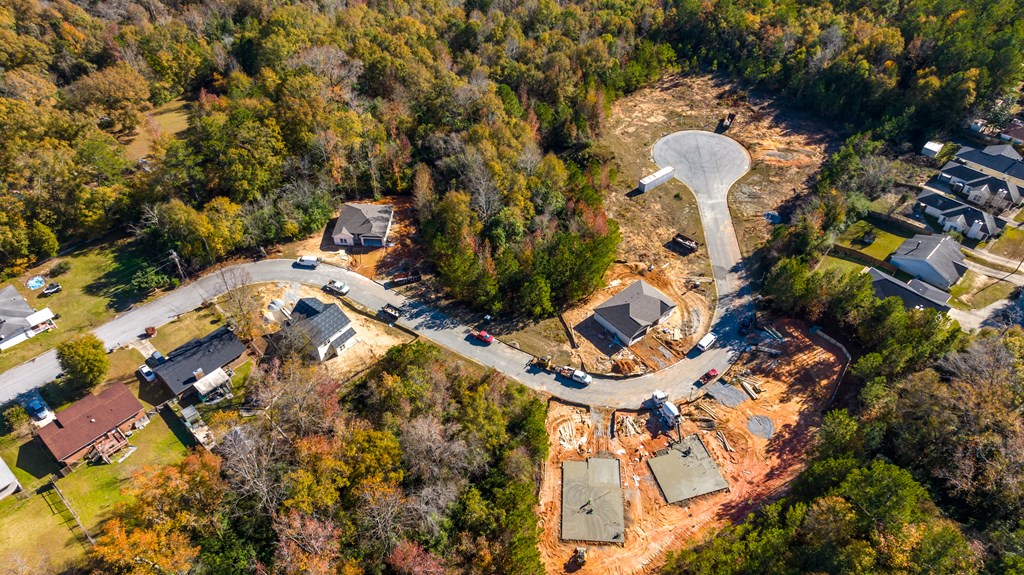 Additional Photos