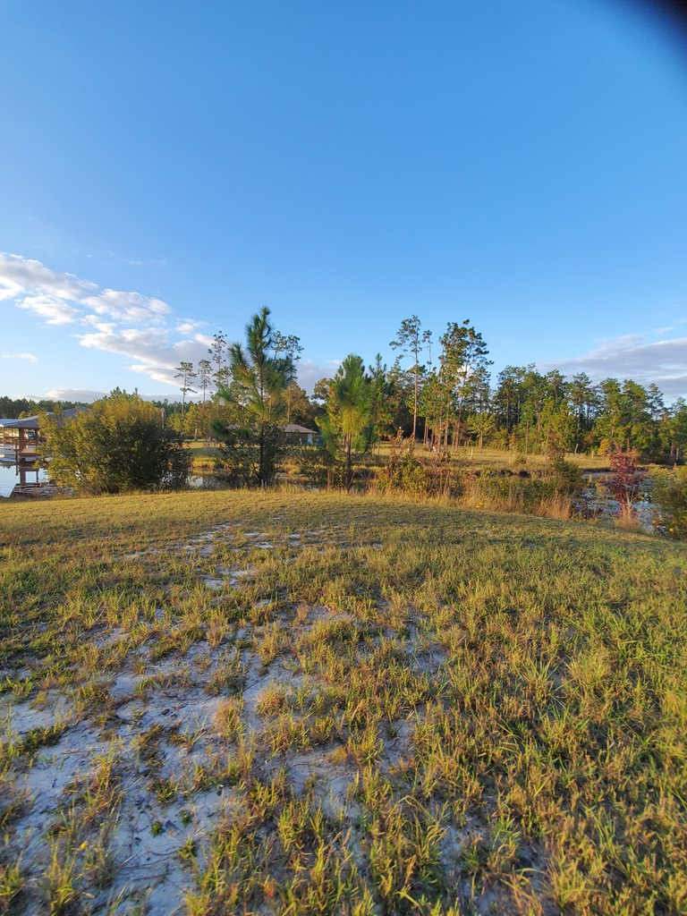 Additional Photos