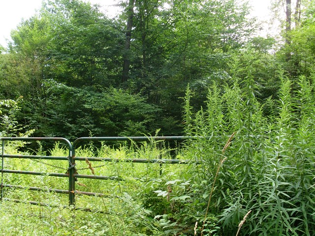 L150120S