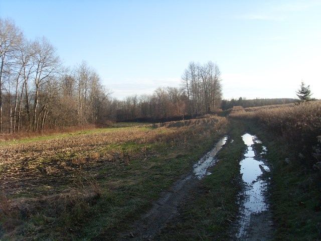 L150542S