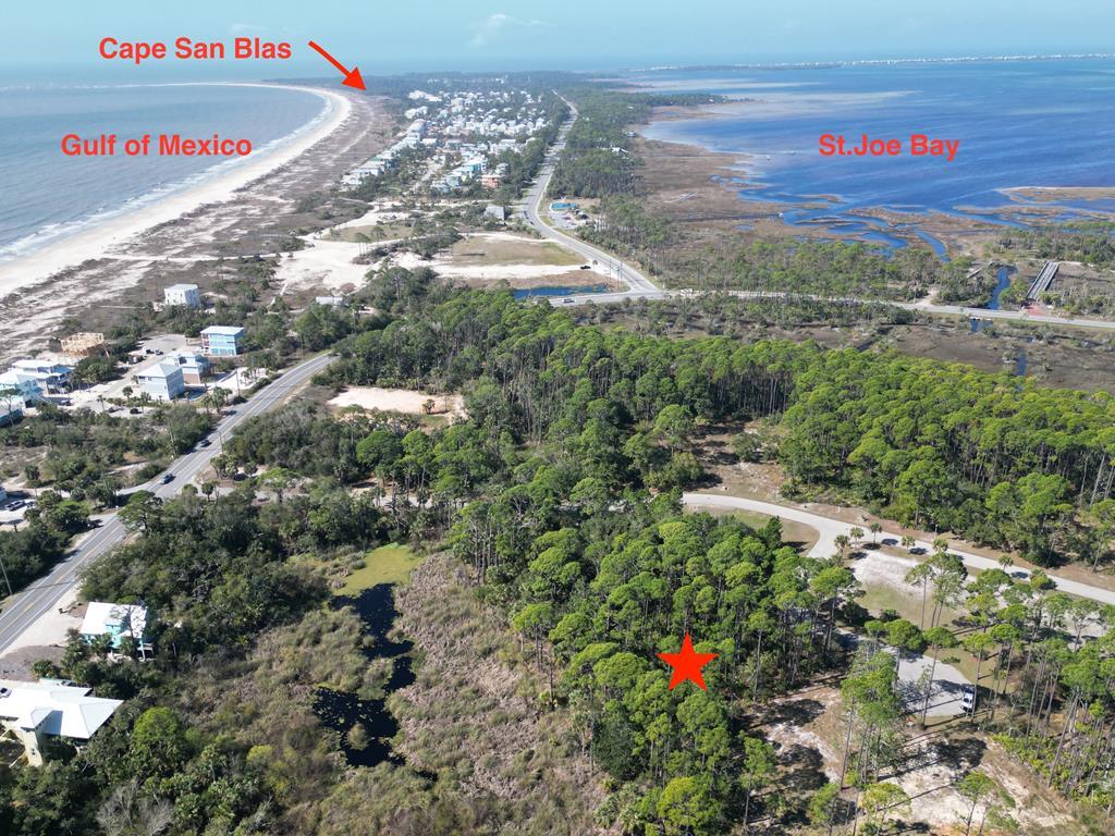 Main listing image for LR313446A